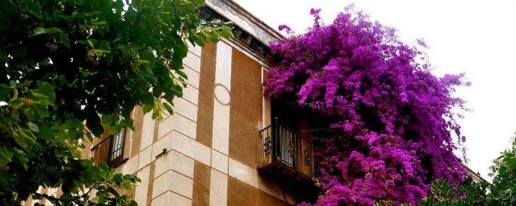 Sarria immeuble fleurs