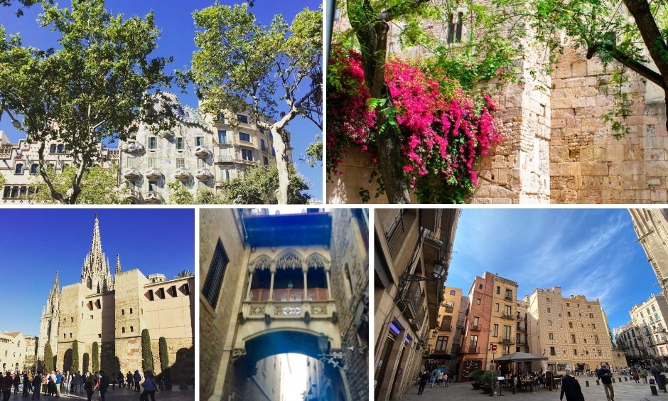 visites Free tour : options
